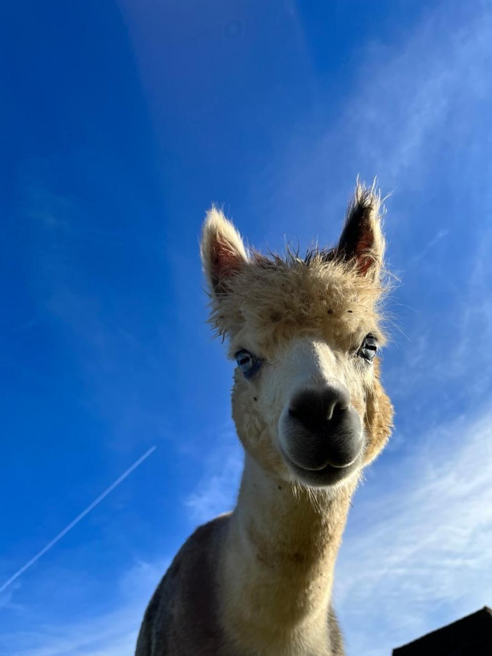 Gite La Borie Fons  Bagian luar foto