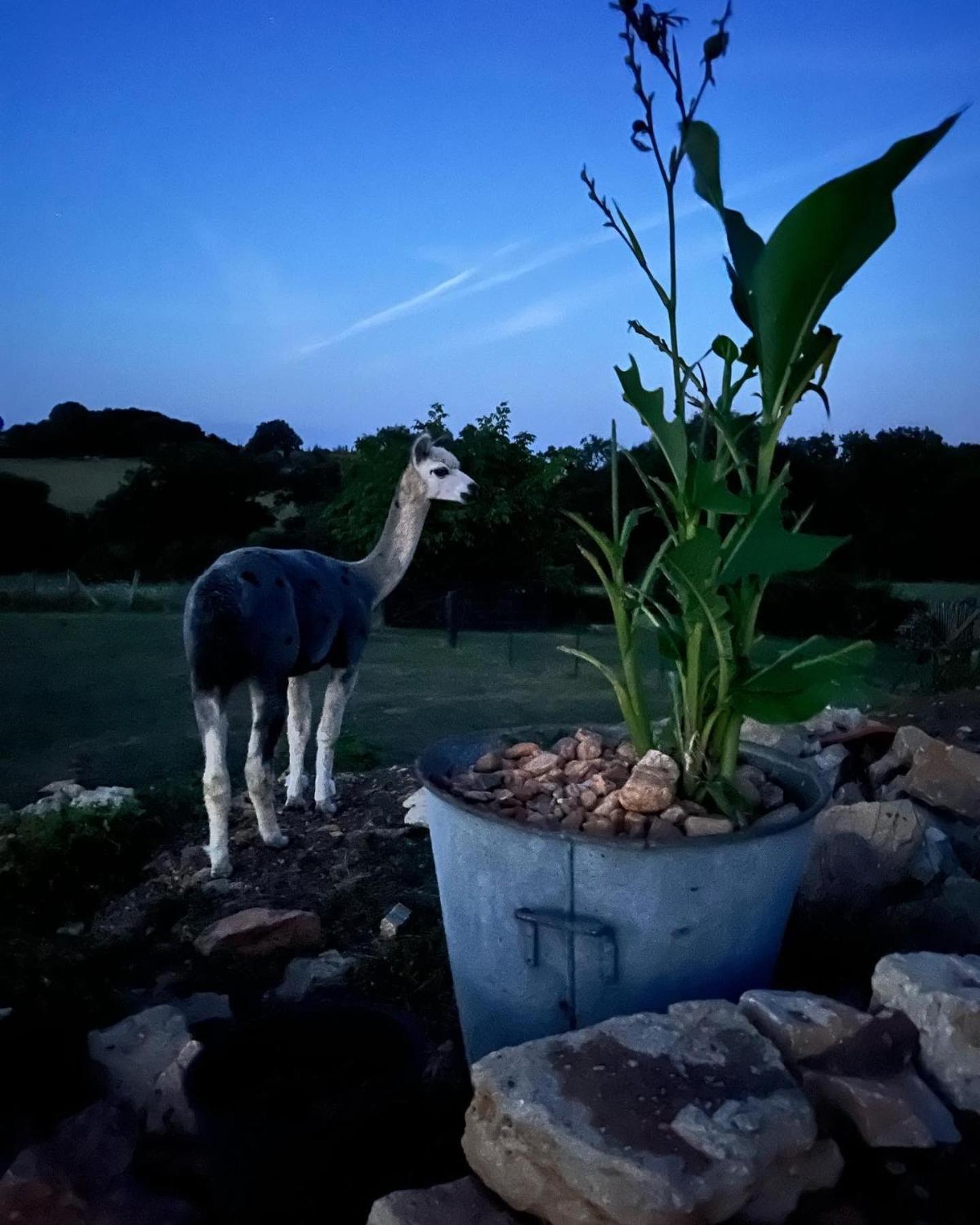 Gite La Borie Fons  Bagian luar foto