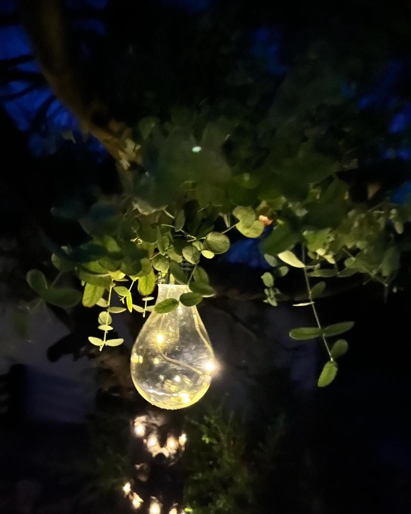 Gite La Borie Fons  Bagian luar foto